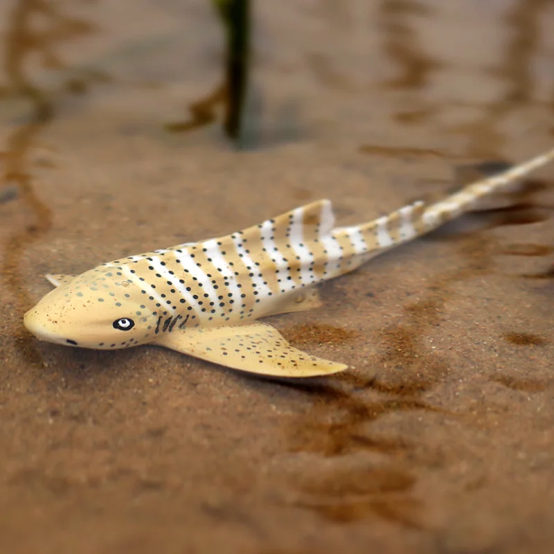 Oenux Sea Life Animals Dolphin Crab Shark Turtle Model Action Figures Figurines Ocean Marine Aquarium Miniature Education Toys