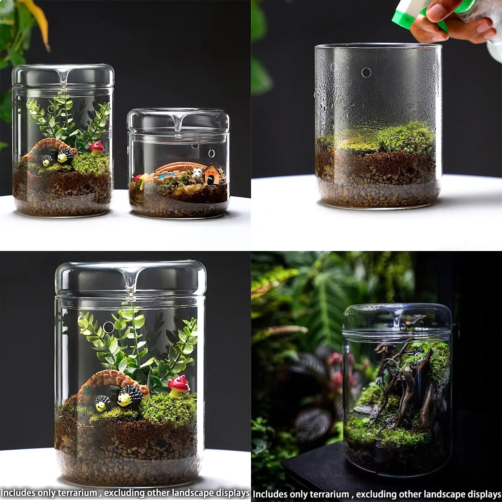 Glass Bottles Creativity Dew Collection Glass Vase Micro Landscape Succulent Moss Bansai Landscape Glass Terrarium Home Decor