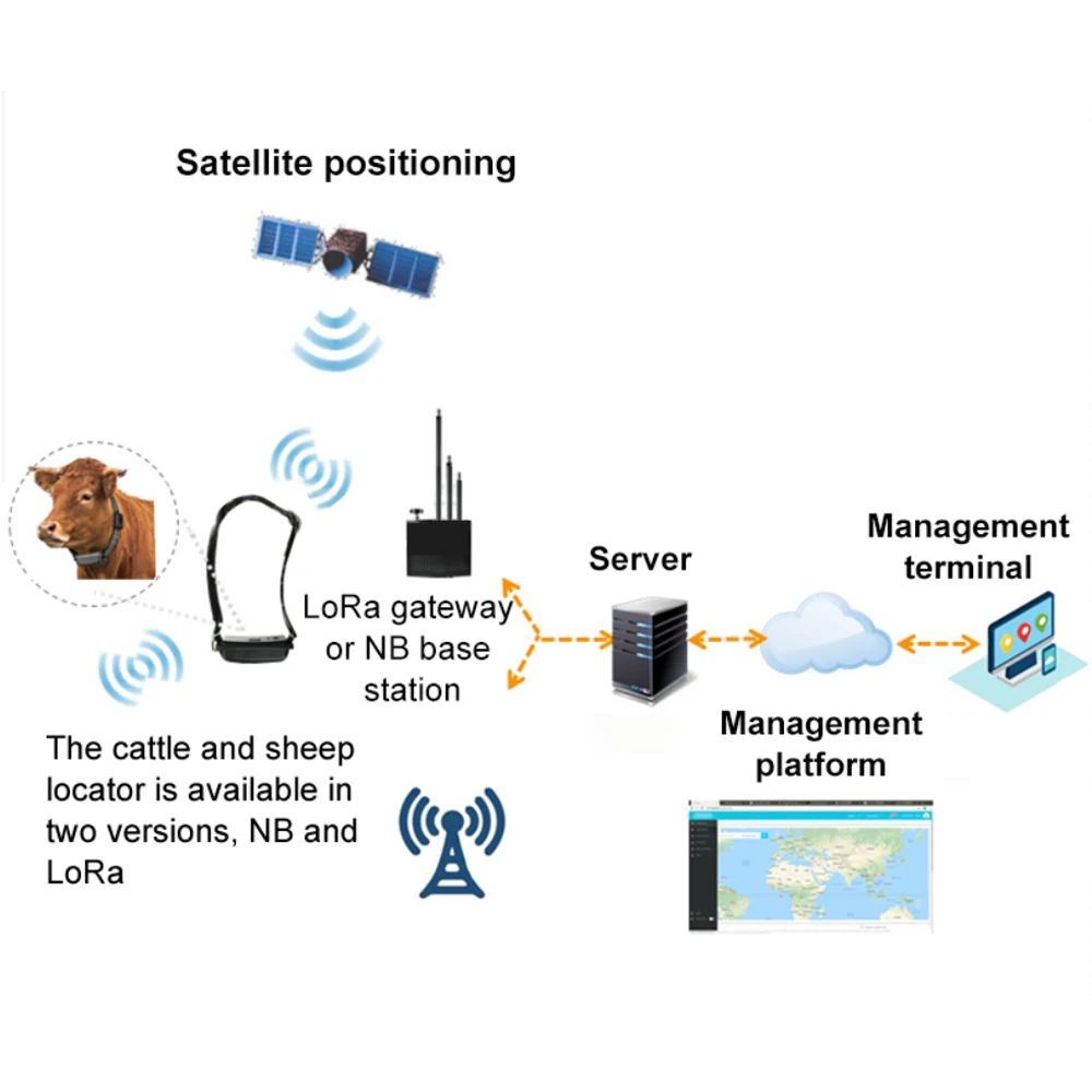 GPS Tracker com criação inteligente para pecuária, Lorawan Localização, Monitor de Saúde Pecuária, lora Cow Sheep