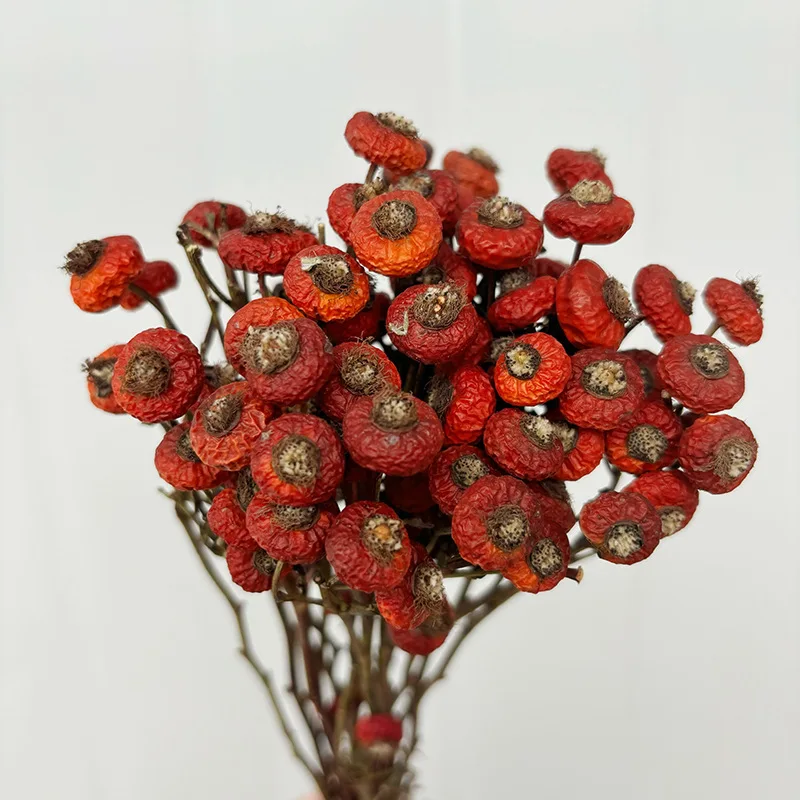 

10pcs/Bunch Dried Rose Hip Berries Flowers Natural Dry Floral for Home Living Room Decor Festive Wedding Decoration
