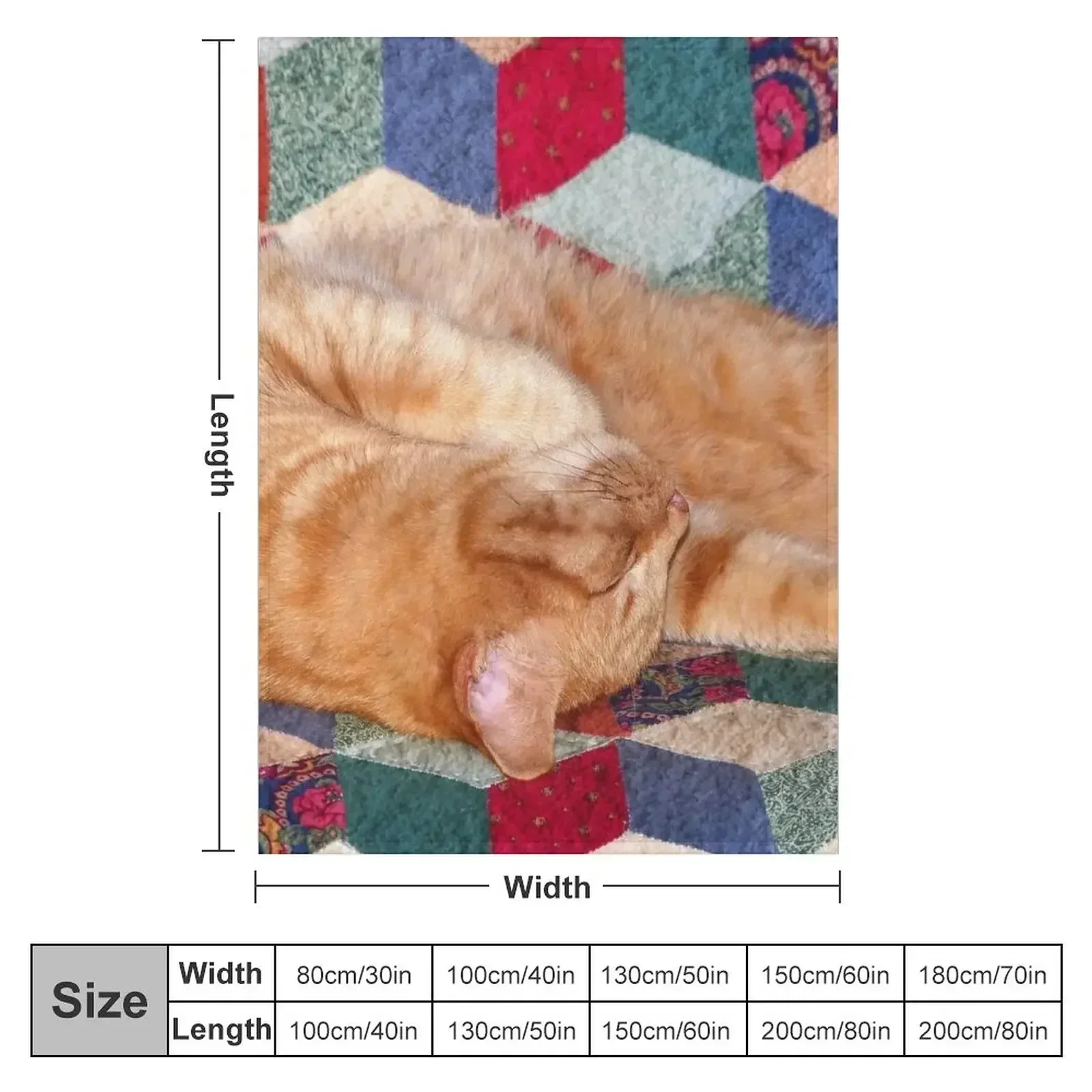 Ginger Cat Napping Throw Blanket couch cozy soft plush fuzzy picnic outdoor blanket