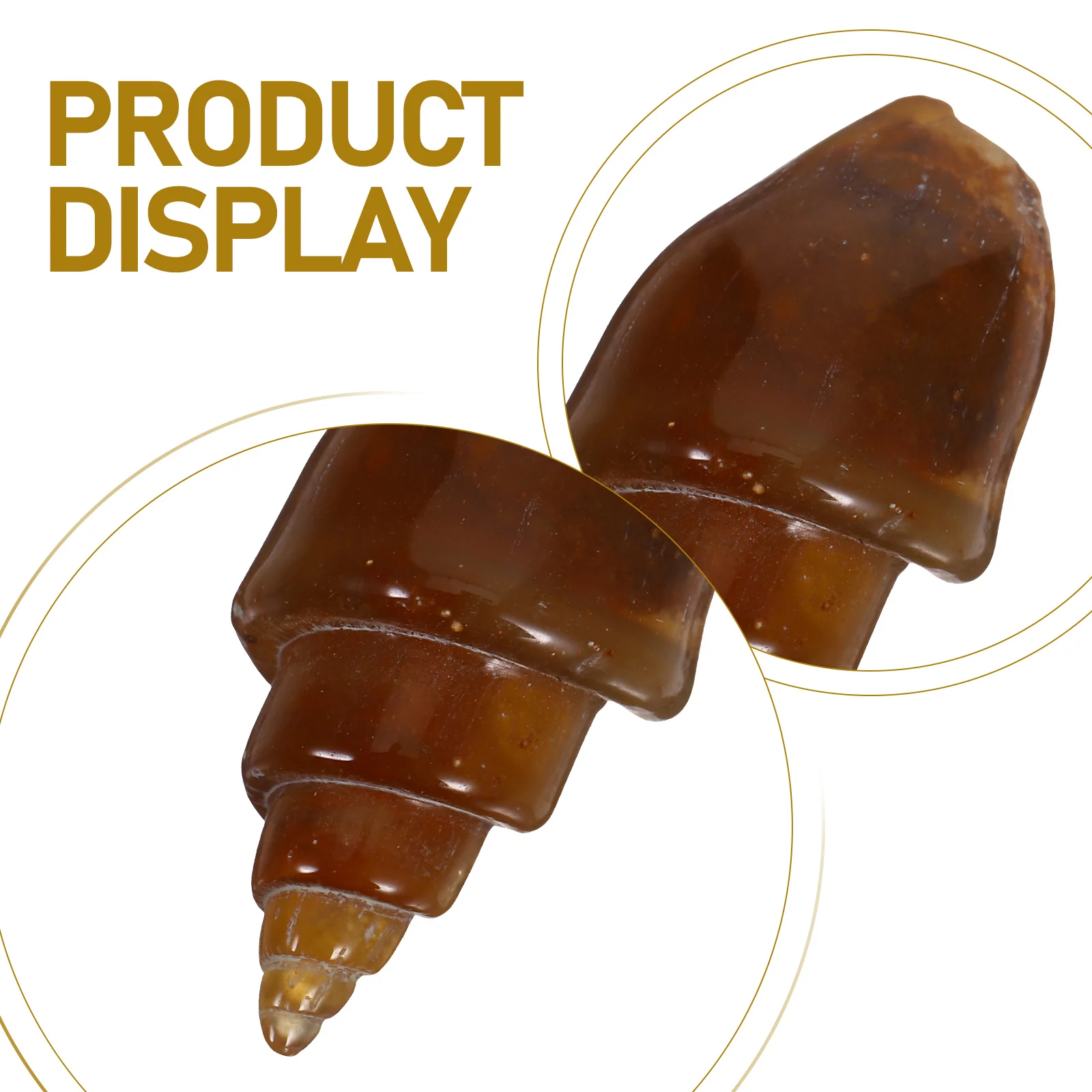 6 ชิ้น Agate หินหอยทากการสอนทางธรณีวิทยาตัวอย่างอุปกรณ์ Rock Minerals ชุดสําหรับบรรพชีวินวิทยารุ่น Conch ตัวอย่าง