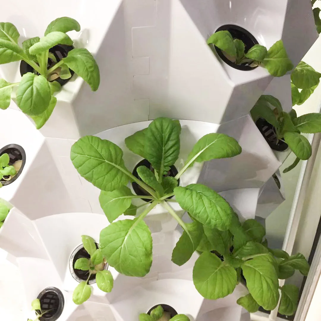 Aeroponic Tower Garden Vertical Hydroponic System with Pump Irrigation & Hydroponics Equipment for Growing Pineapple