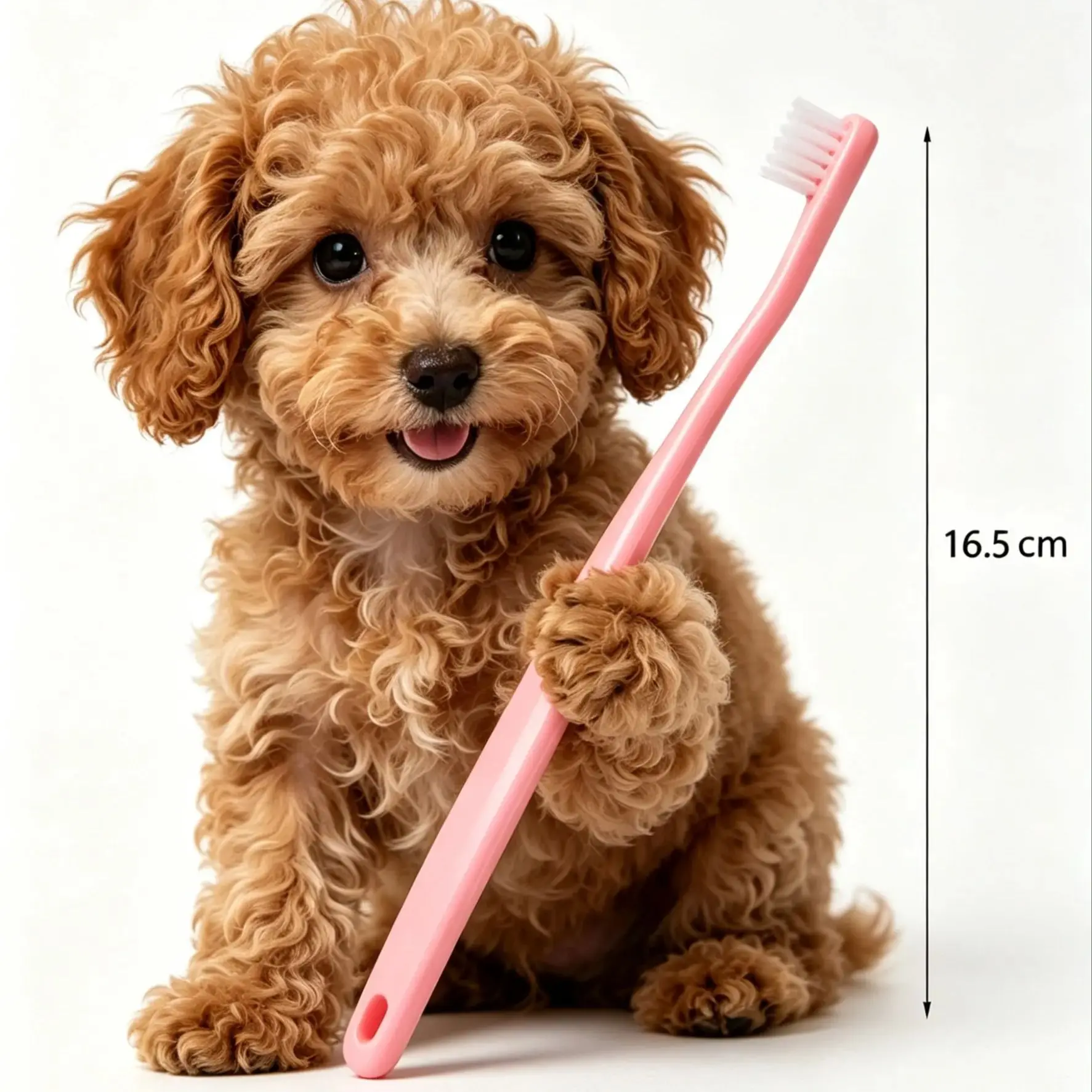For Dogs & Cats – Small Head Toothbrush, Teeth Cleaning & Mouth Care Tool, Pet Grooming for Teddy, Bichon, Shiba, Corgi, Golden,
