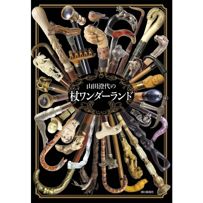 

Sumiyo Yamadas Wand Wonderland Yamada Sumiyo Asahi Shimbun 9784021100505 Book