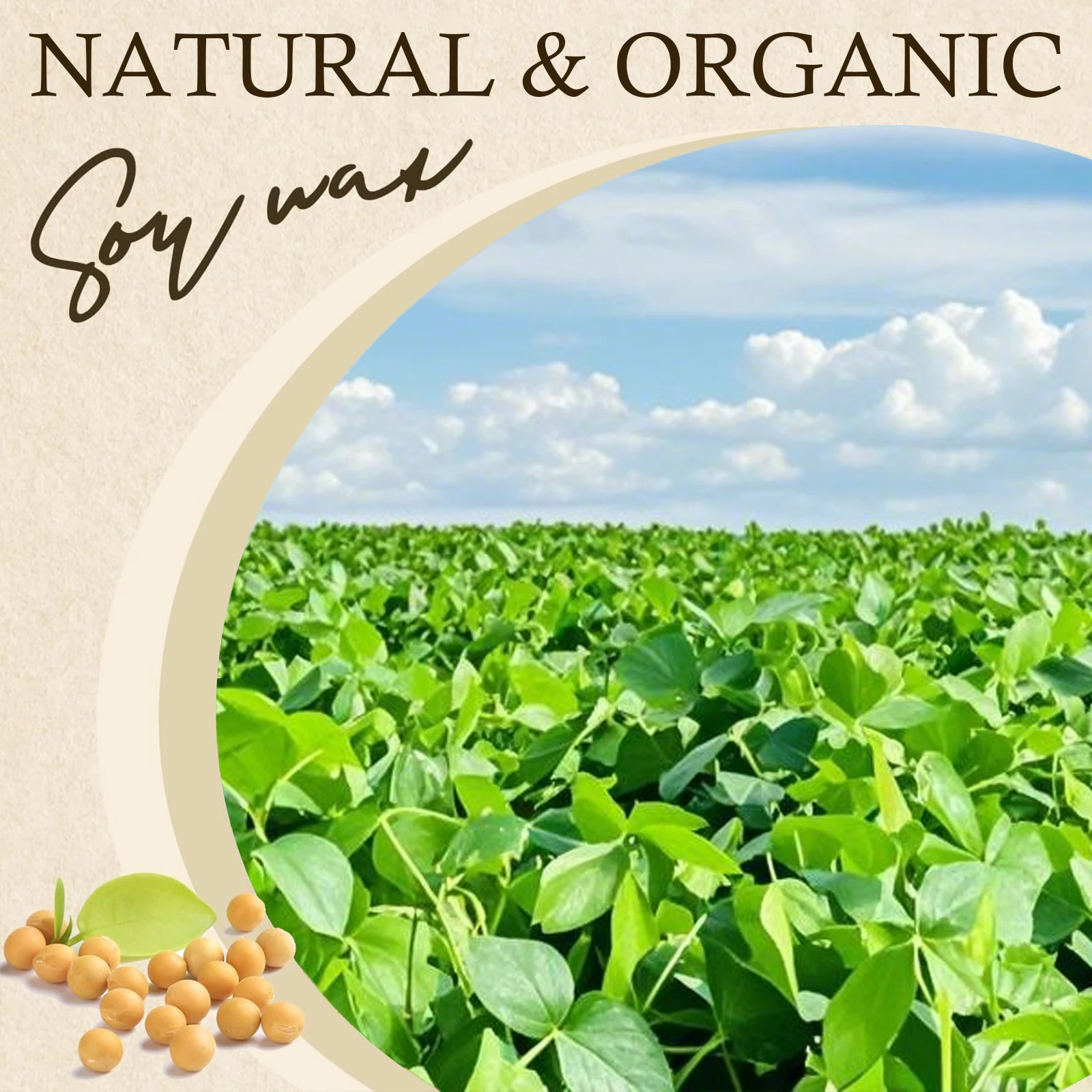 Thumbnail 3 - #42 Latest Raw Candle Wax Offers