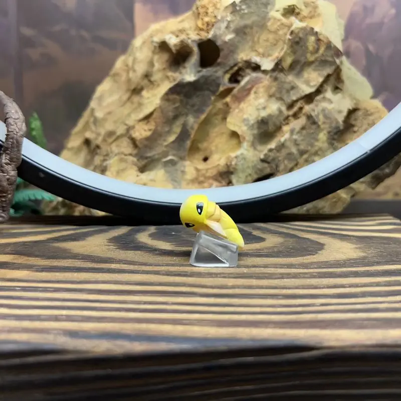 متوفر في المخزون الساخن 1/20 أنيمي نسبة العالم المحدودة Beedrill Metapod نادر محدود نموذج لعب للبنين والبنات هدية #3