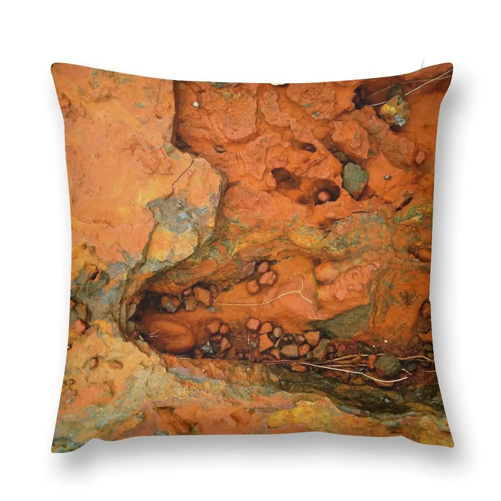 

Geology - Rock Form Brockman Iron Formation Western Australia Throw Pillow Pillows Aesthetic Sofa Cover pillow