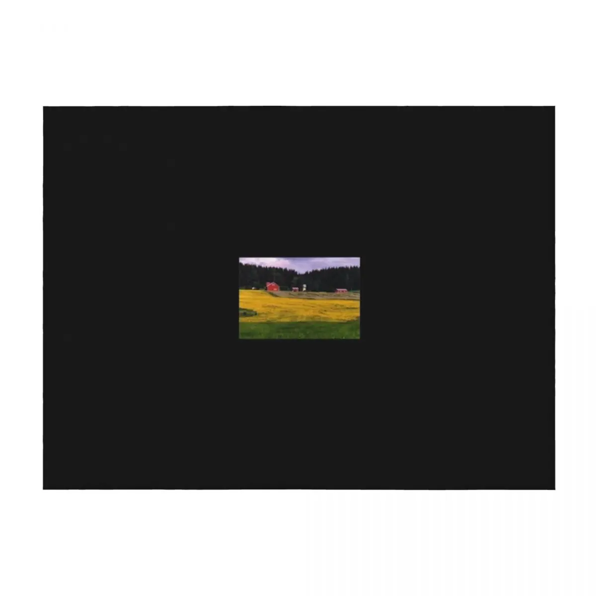 

a historic Finland landscape Throw Blanket Blankets For Baby anime Soft For Sofa Thin Blankets