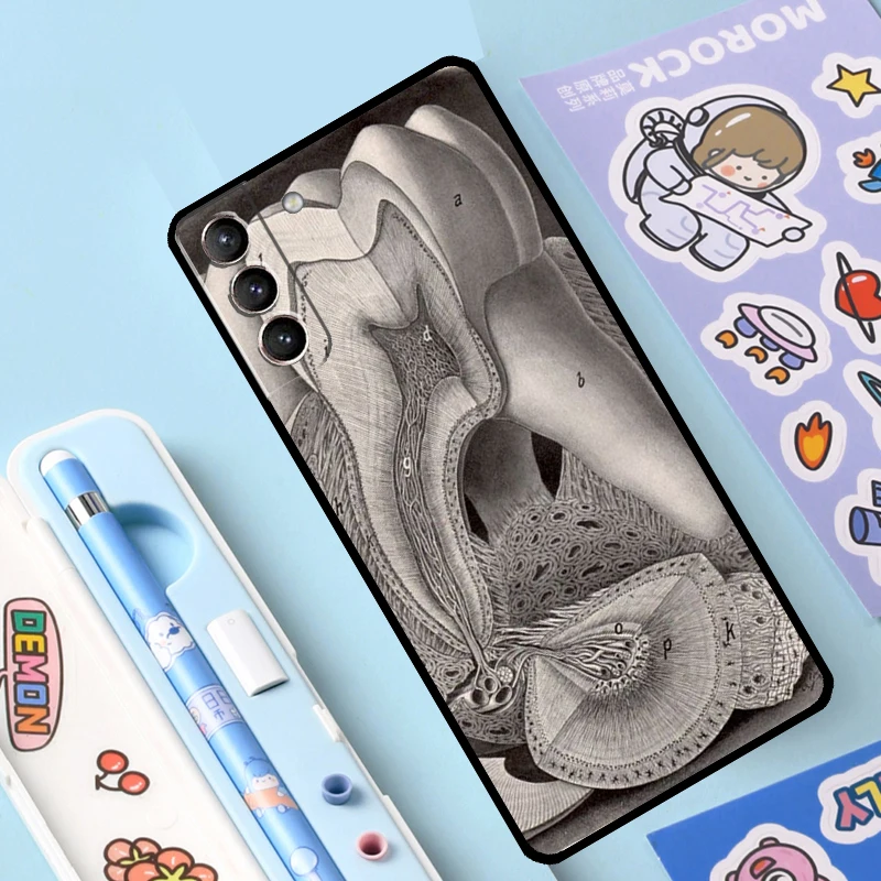 Human Tooth Anatomy Case For Samsung Galaxy S23 S21 S22 Ultra Plus Note 10 20 S8 S9 S10 Plus S20 FE Cover Case