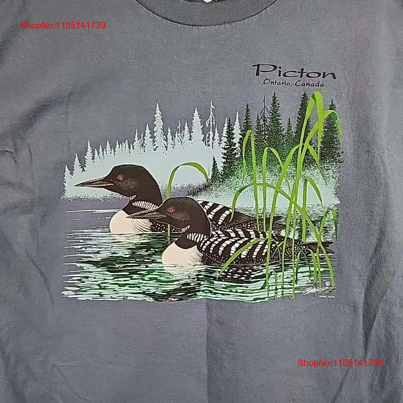 خمر بيكتون أونتاريو كندا تي شيرت رجالي XL شعار لون الطيور بركة الطبيعة خمر غسلها امتدت لينة أنيقة قليلا