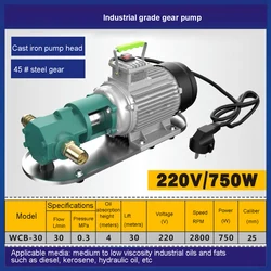 WCB-30 Industrial Grade Gear Pump Oil Pumping Pump Portable Gear Pump 220V 30L/min 0.3MPa 750W 2800rpm