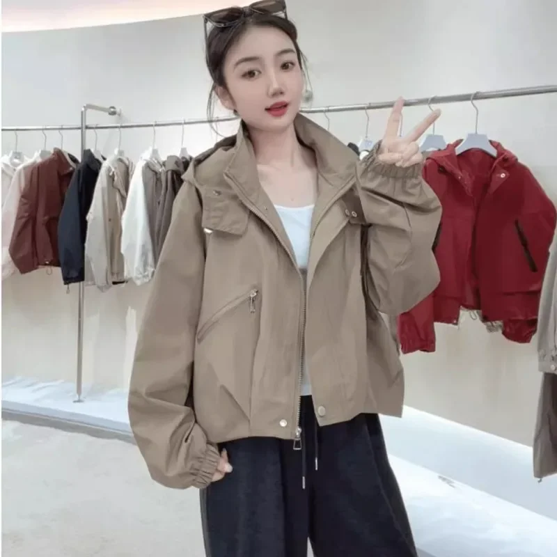 2025 veste ample à capuche manches longues haut travail nouveau printemps et automne décontracté