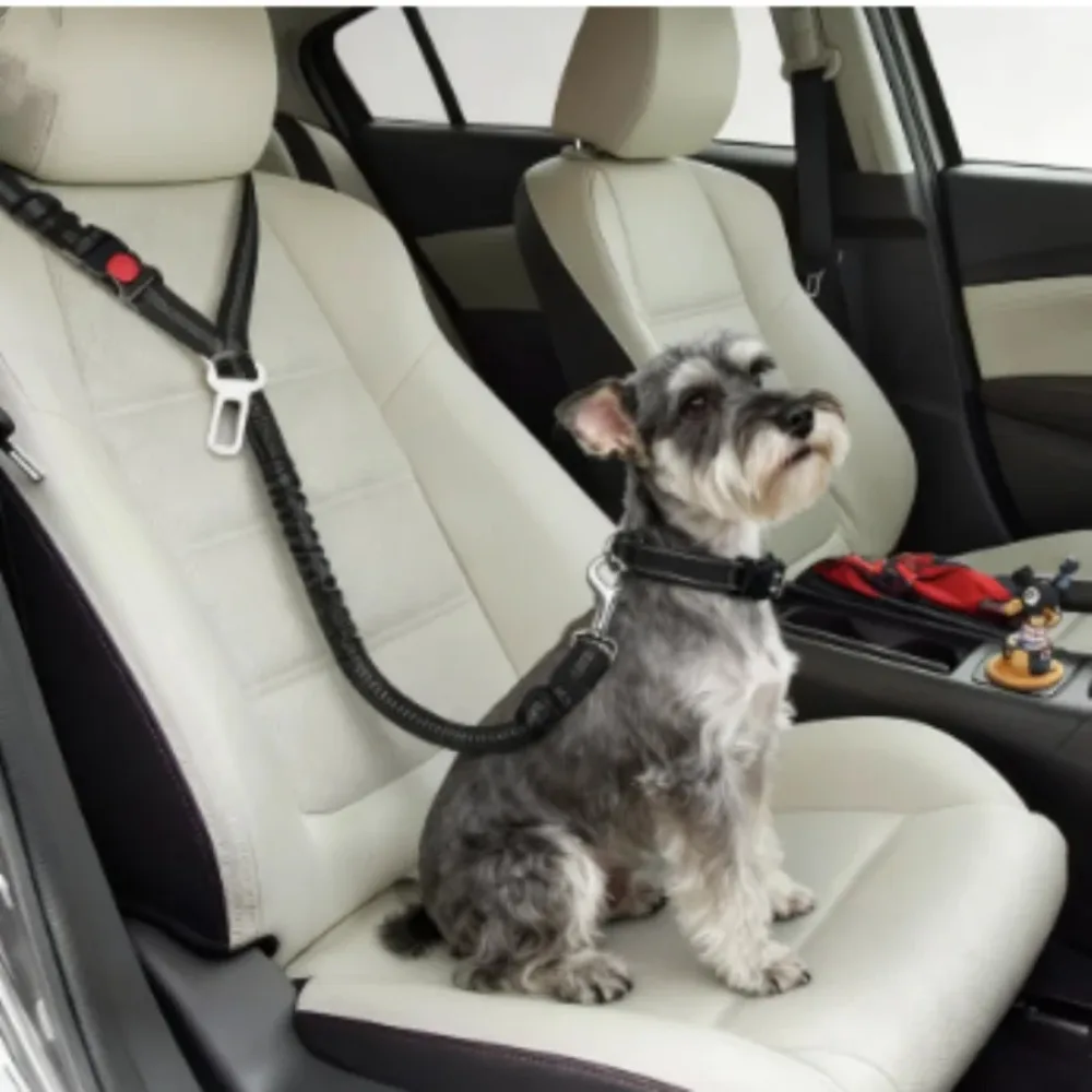 Thumbnail 2 - #6 Latest Puppy Seat Belts Offers