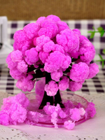 1 PCS 2024 90x80 MM Magically Paper Sakura Crystal Trees Magic Growing Tree Japan Desktop Cherry Blossom Science Toys Novelties