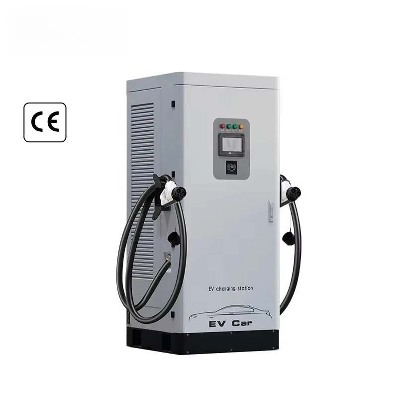 Double Gun Floor Mounted DC Fast Charger 200-750V for EV Station Electric Vehicle High Speed Custom