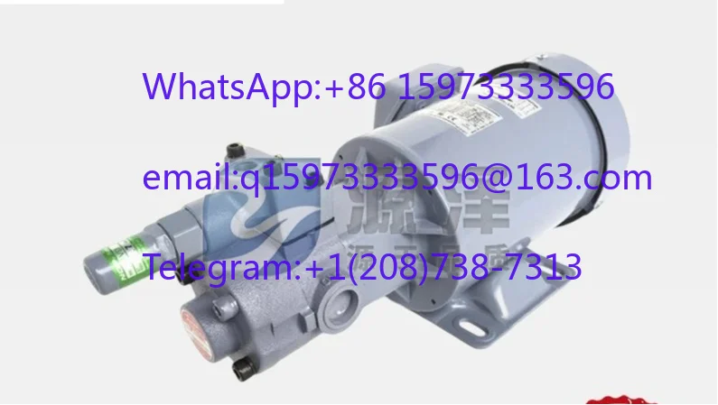 TOP-2MY1500-216HWMVD 1.5MPa Special Hydraulic Oil Pump For CNC Lathe Machine Tool Hydraulic System Repair Replace Spare Parts