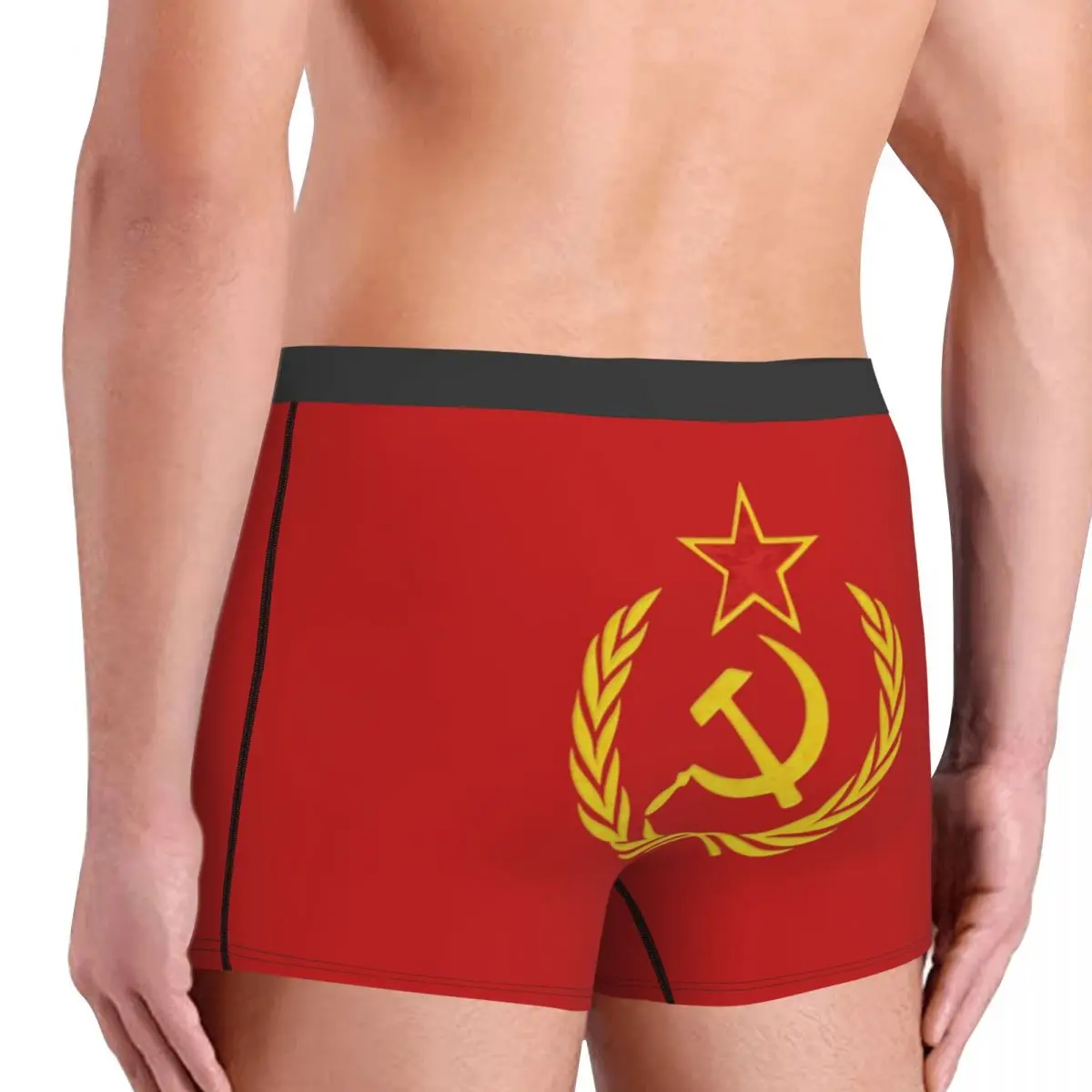 USSR Hammer And Sickle CCCP Russian Soviet Flag Underwear Men Sexy Print Custom Boxer Shorts Panties Briefs Soft Underpants