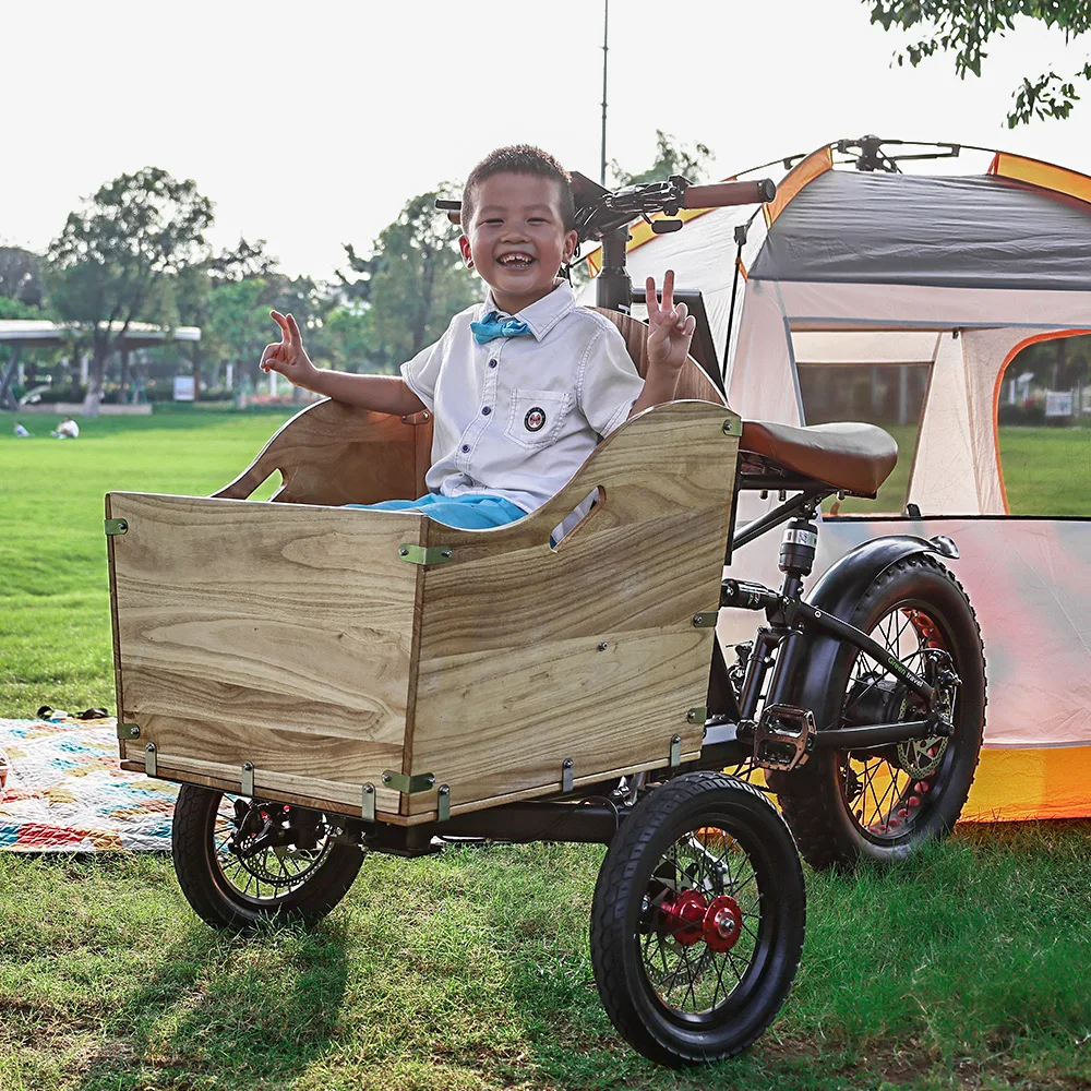 3 Wheel Electric Bike Fat Tire Adult Electric Tricycle 20 26 Inch 36V 250W 350W 48V 500W 750W Motor Cargo E Bicycle