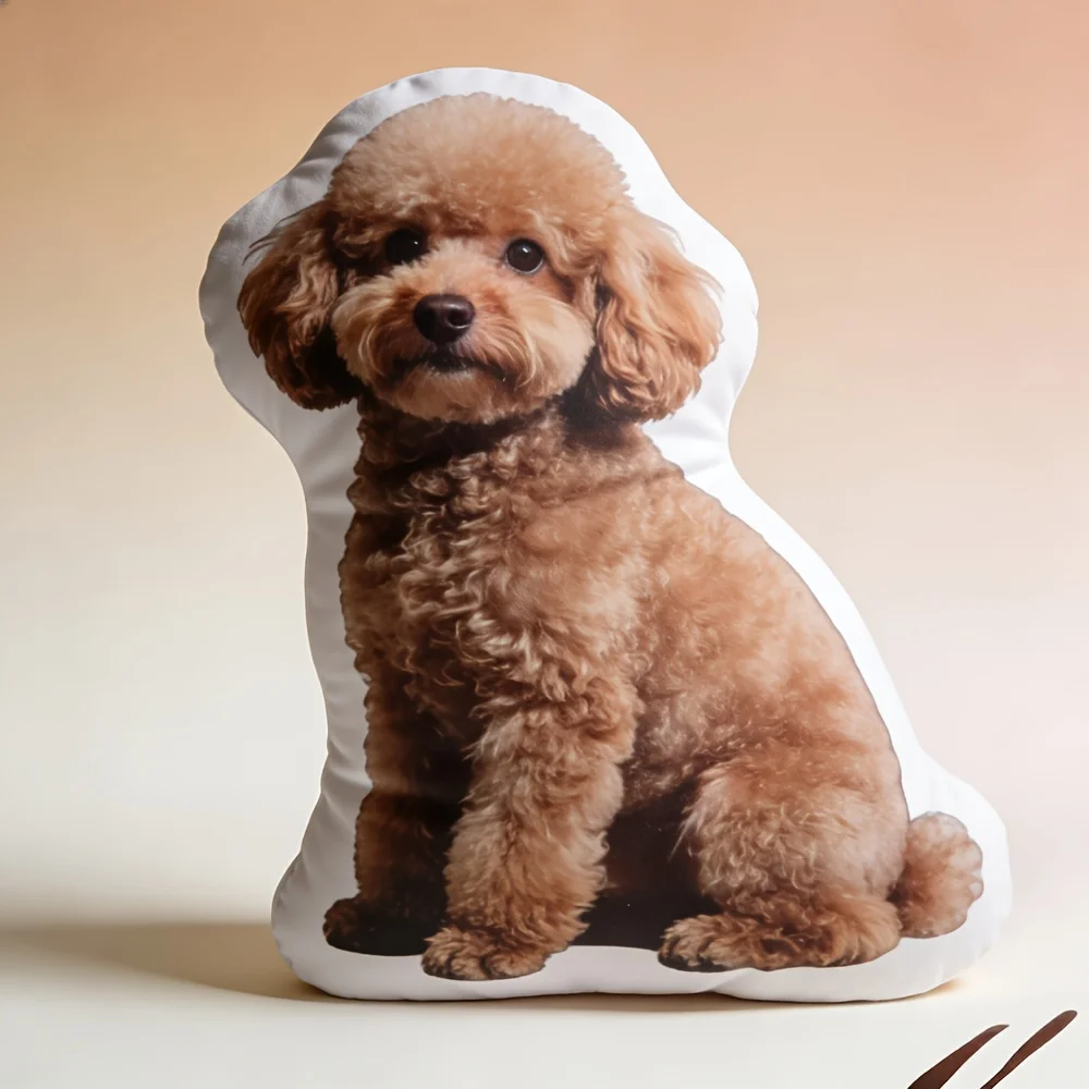 Custom Pet Image Beloved Alien Pillow, Portrait Character Abstract Cat And Dog Printing Design You Want Photos, Holiday DIY Crea