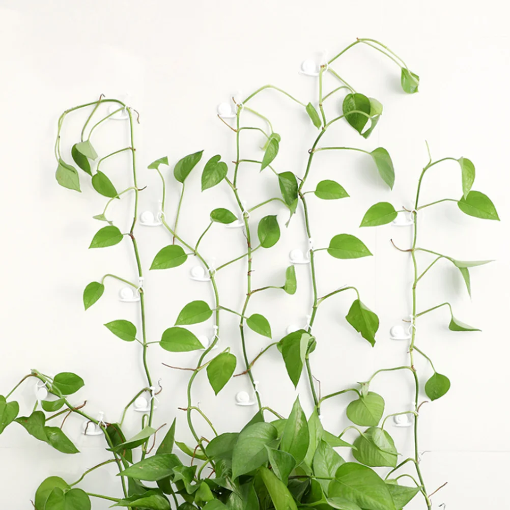 

30 Pcs Plant Support Clips Durable Plastic Fixing Vines Garden Hoops Self Adhesive Wall Fixture Climbing Plants Vines Holder