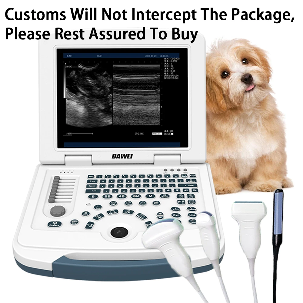 Portable Veterinary Ultrasound Scanner, Laptop Vet Pregnancy B-Ultra Machine, for Animal Farm Home Pet (B,B+B,4B,B+M,M)