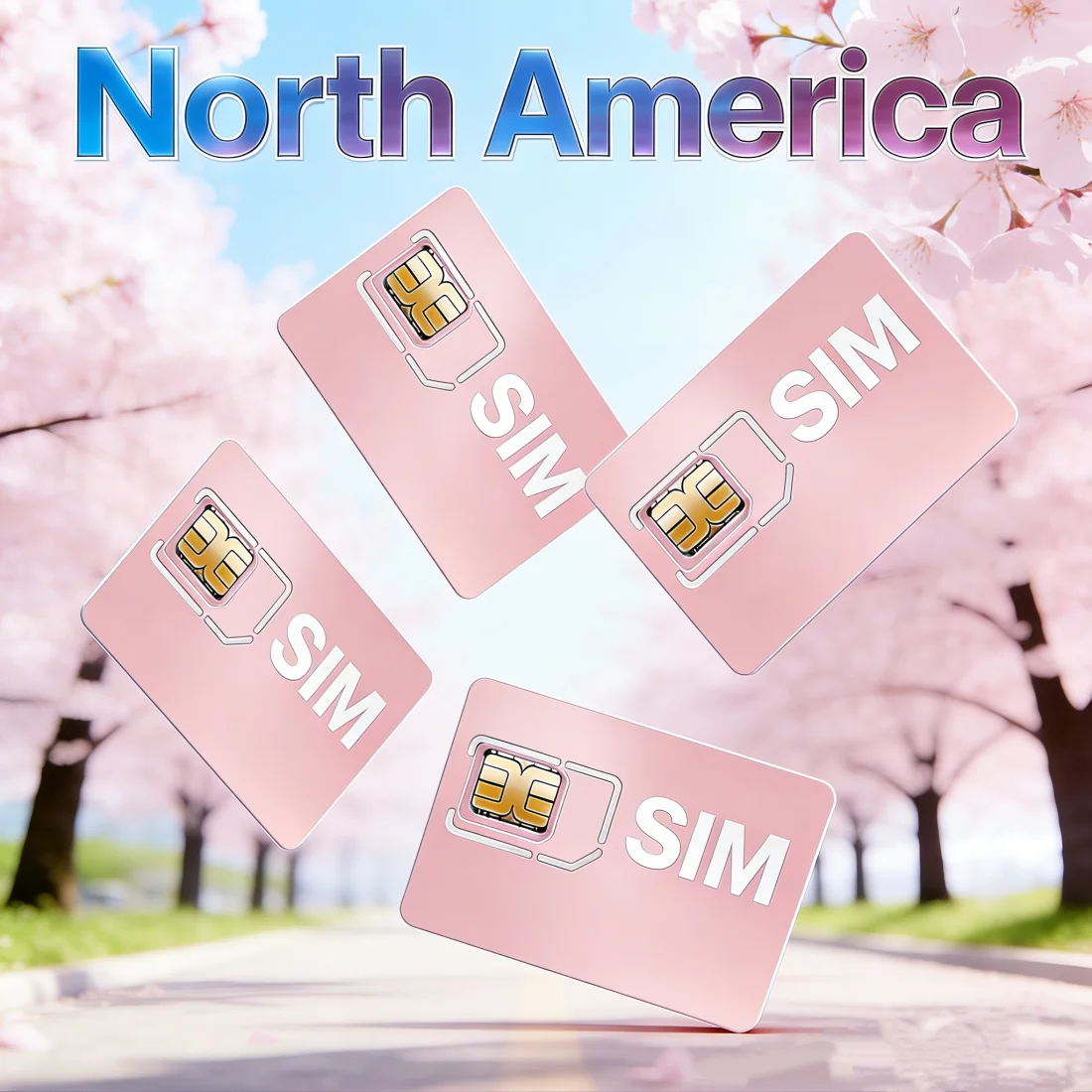 Carte SIM pour Traceur GPS Amérique du Nord 2G/3G/4G Données IoT Sans Contrat 360 Mo 360 Jours pour S20 C09 TK403