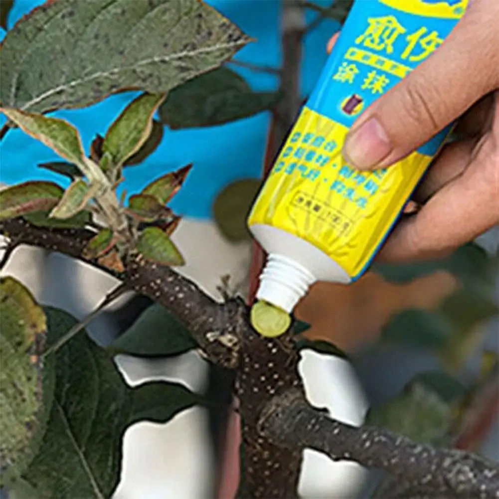 100g Tree Grafting Paste Tree Wound Paste Smear Agent Repair Saw Sealer Pruning Tree Pruning Heal Cuts Coating Plant Wound