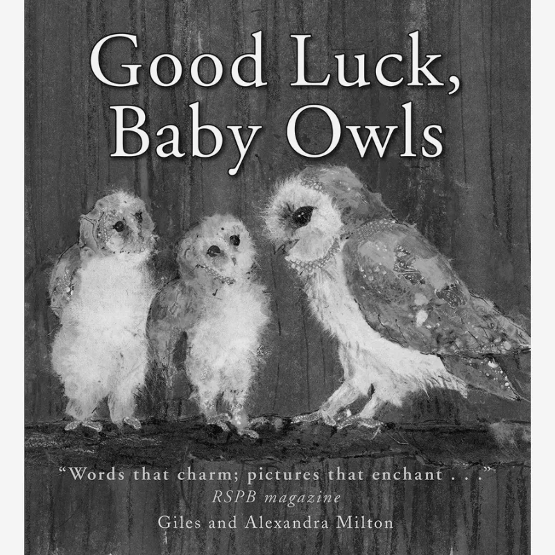 

Книга «Себастья Бэби на удачу» Braun Bounce 9781907967849