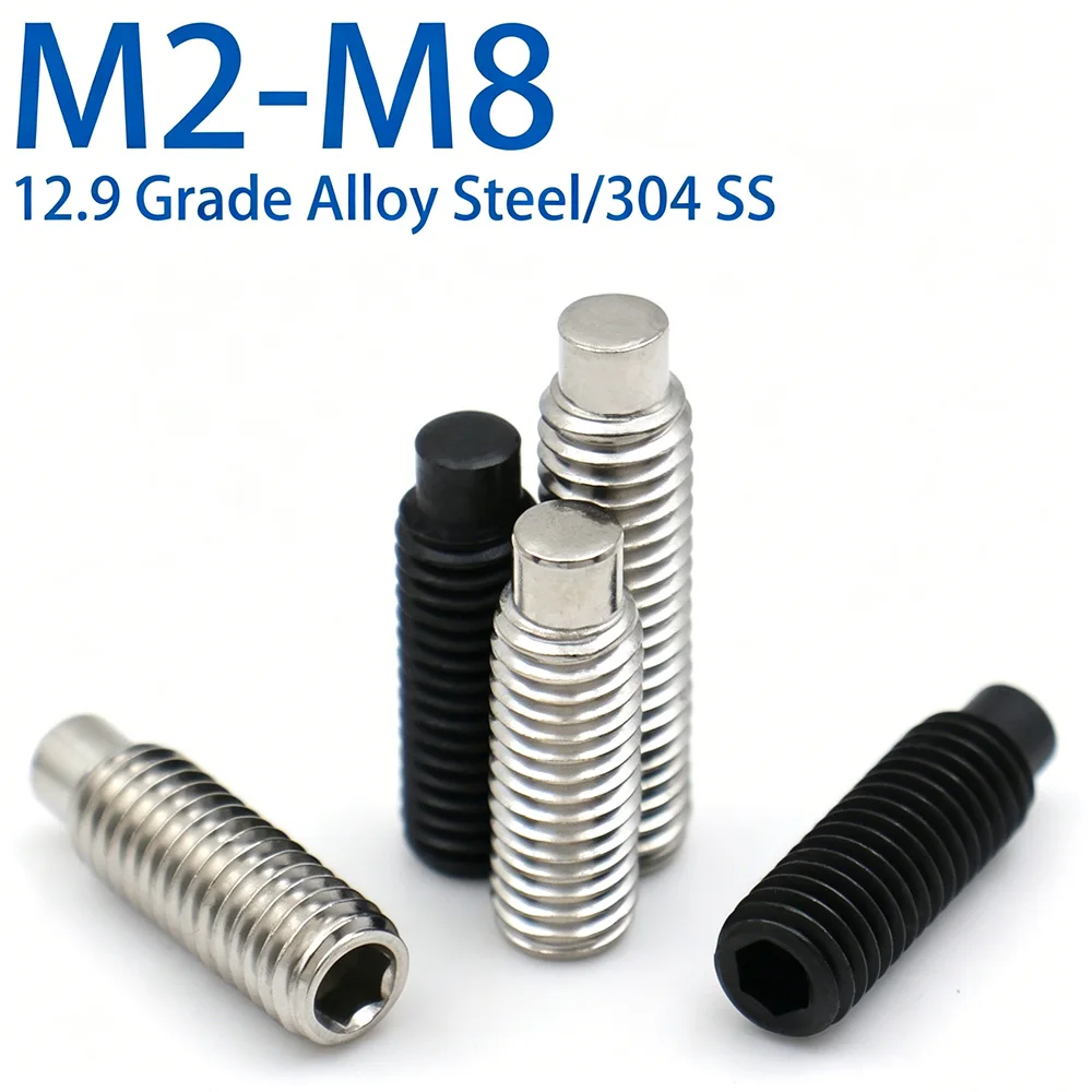 12.9 Legierungsstahl 304 Edelstahl Sechskant-Gewindestifte ohne Kopf (Hundepunktschrauben) M2 M2.5 M3 M4 M5 M6 M8
