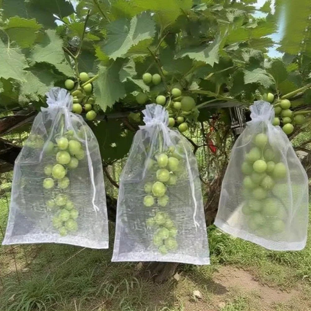 10pcs Grapes Fruit Dedicated Protection Bags Nylon Pest Control Anti-Bird Garden Netting Bags Agricultural Tree Garden Supplies