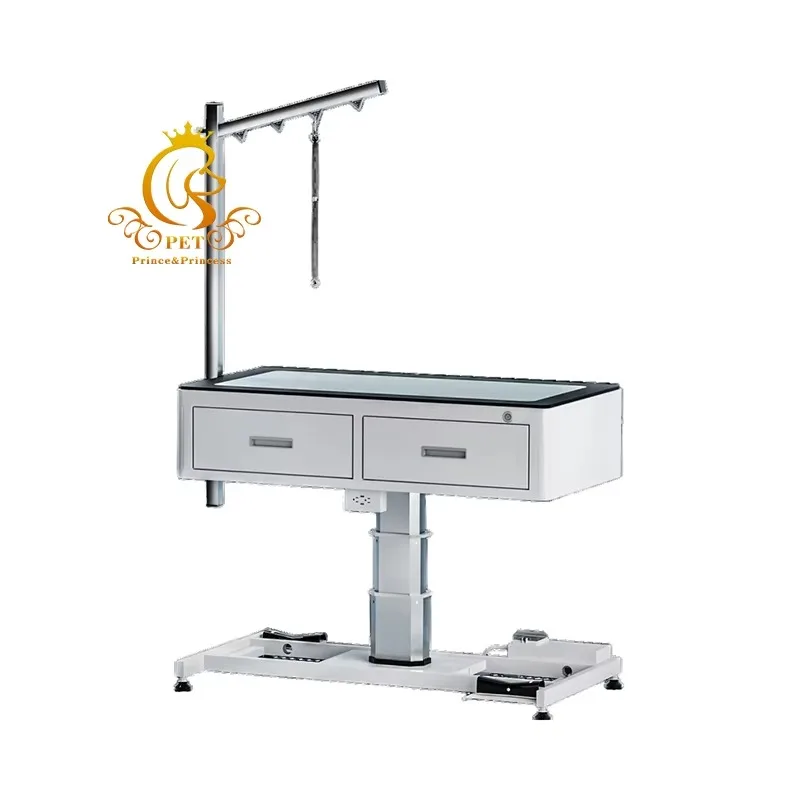 

2026 Luxury Customized Dog Owner's Favorite Shearing Grooming Table Electric Lifting Perfect Products Wholesale Grooming Tool