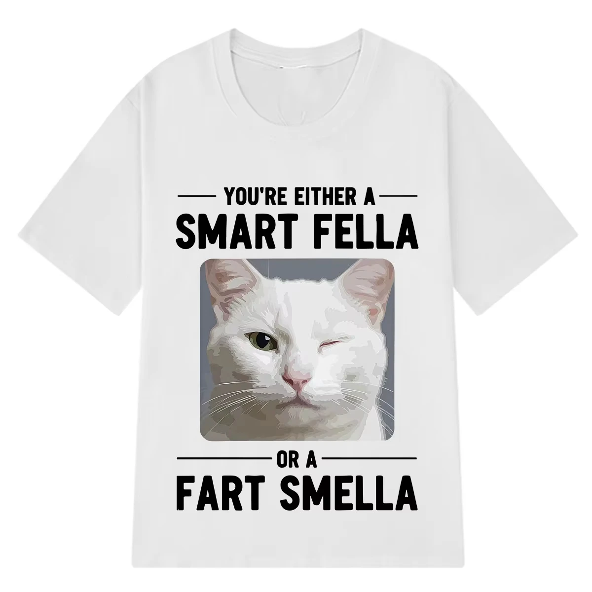 Winking Cat Smart Fella or A Fart Smella Funny Meme Tshirt Men Women Aesthetic Trendy Short-sleeved Cotton Loose Casual T-shirts