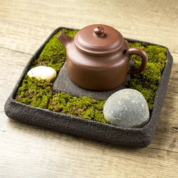 Tea Tray Natural Stone Plant Pot Bonsai Plate Landscape Table Garden Volcanics Home Decoration Craft Office Teaware Originality