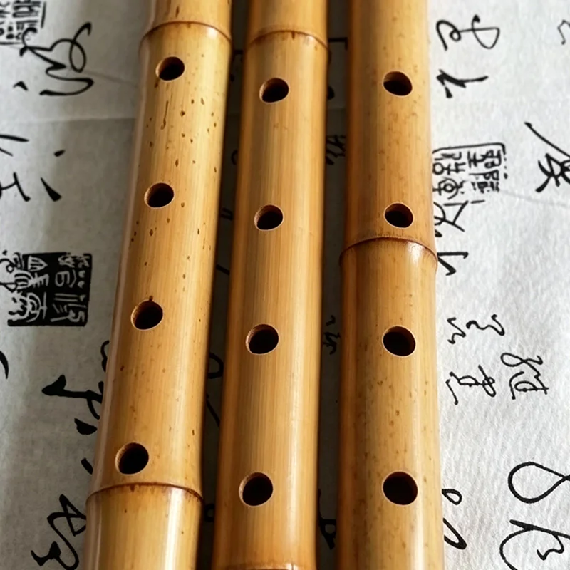 手作り竹製尺八 初心者練習用尺八 伝統演奏用縦笛 プロ仕様木 - Shakuhachi Bamboo Flute のレビューと価格