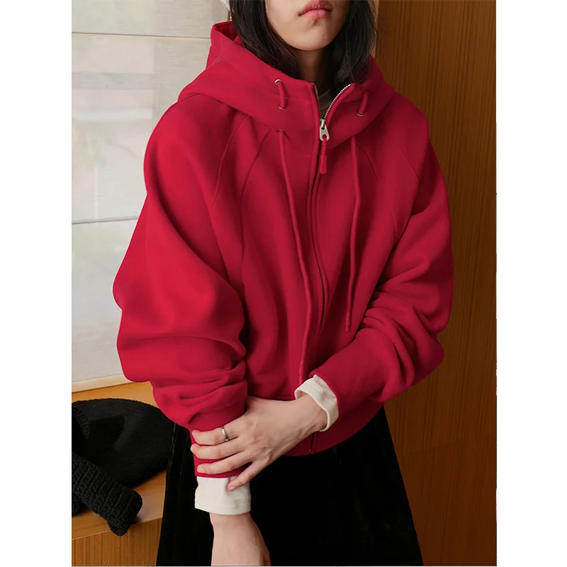

Lazy Wear Turtleneck Hooded Fleece Thickened Sweater Temperament Age-reducing Invisible Pocket Top 2025