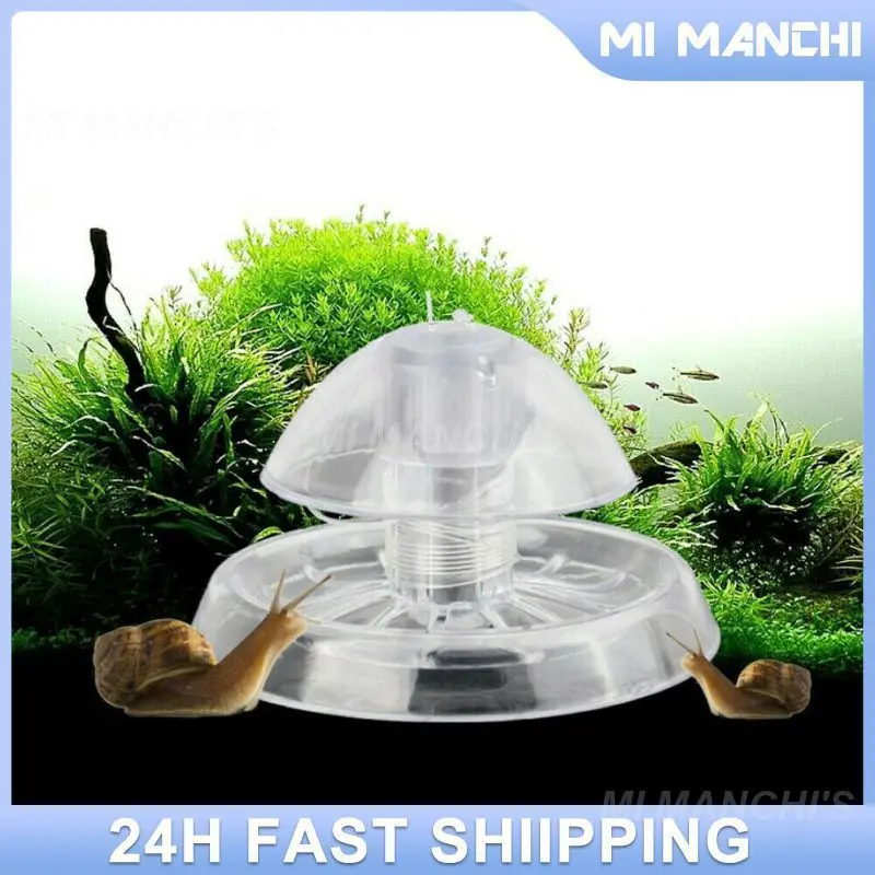 Plastic Transparent Snail Trap Catcher Fish Tank Plants Planarian Pest Catch Box Environment Cleaning Tool Aquarium Accessories