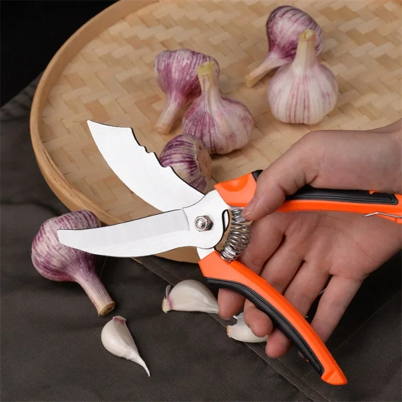 Two-Color Plastic Handle Garlic Scissors Big End Scissors Vegetable Trimming Onion Shears Cooking Kitchen Cutter Spring Design