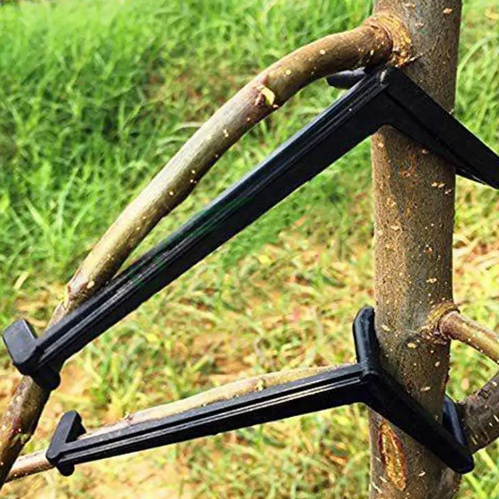 10Pcs Branch Holder Adjustable Height Pressure Resistant Weight Capacity Anti-sagging Fruit Tree Branch Spreader Courtyard Tool