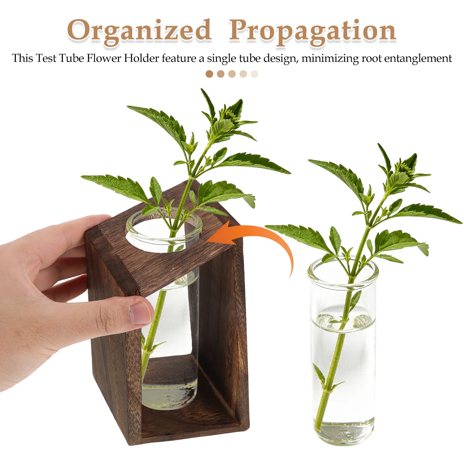 Single Slot Wood Hydroponic Plant Tube Stand Coffee Vase Holder for Desktop Propagation Station Home Use