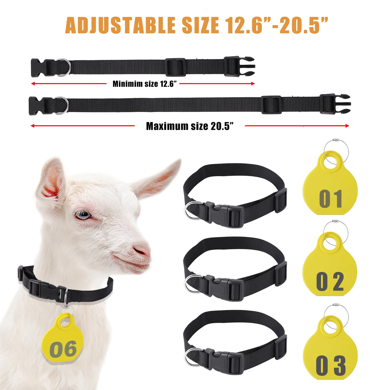 Thumbnail 2 - #42 Best Adjustable Pet Collars to Buy In 2026