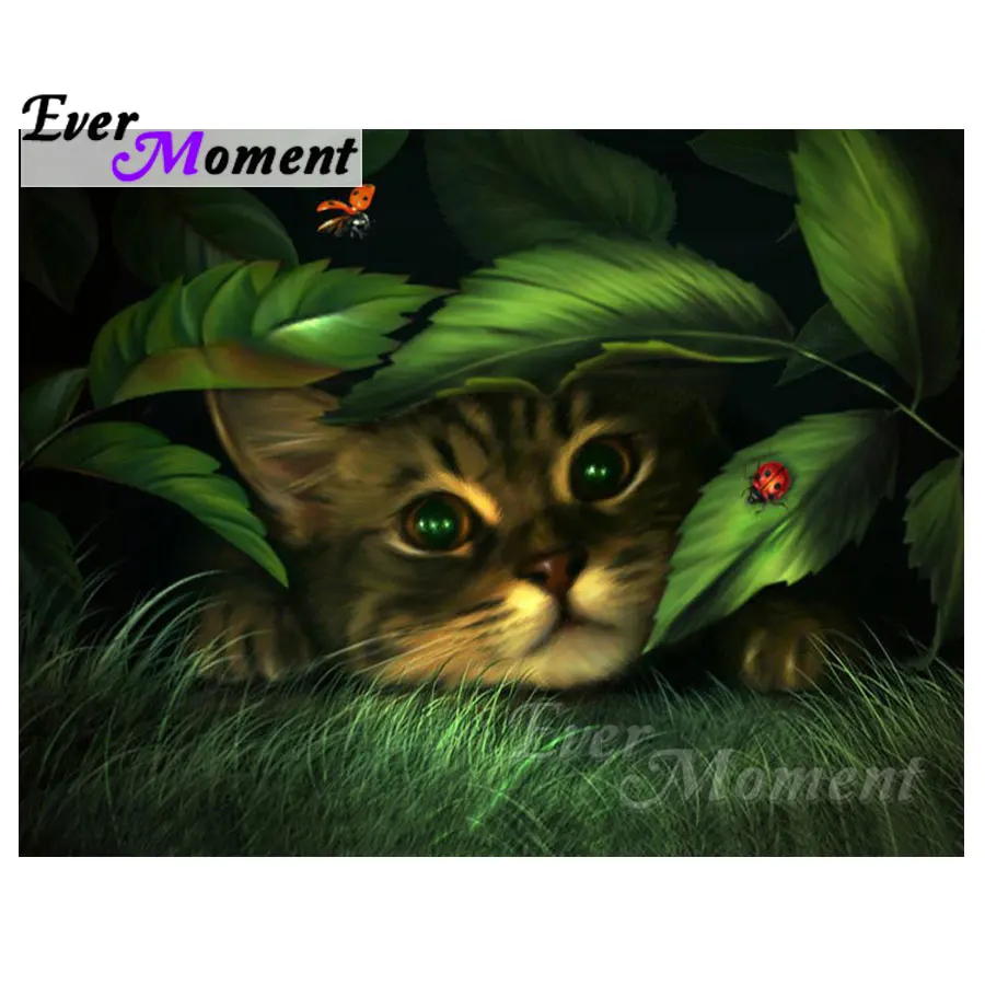 

Ever Moment Diamond Painting Cat Grass 5D DIY Full Square Drill Cross Stitch Decor For Home Diamond Embroidery Mosaic S2F842