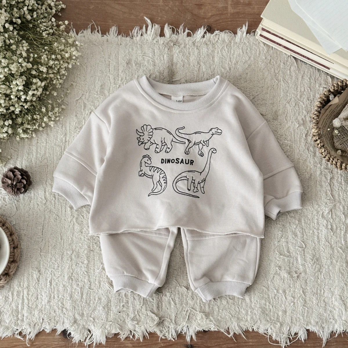 Baby Boys Girls Dino Print Tracksuit, Round Neck Sweatshirt and Jogger Pants, Cute Cartoon Dinosaur Autumn 2Pcs Outfit