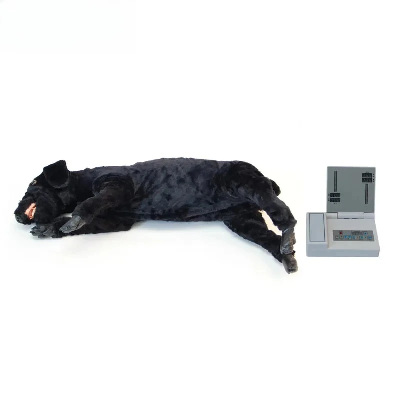Medical Science Dog Cpr and Intubation Manikin  Medical Training Mannequins