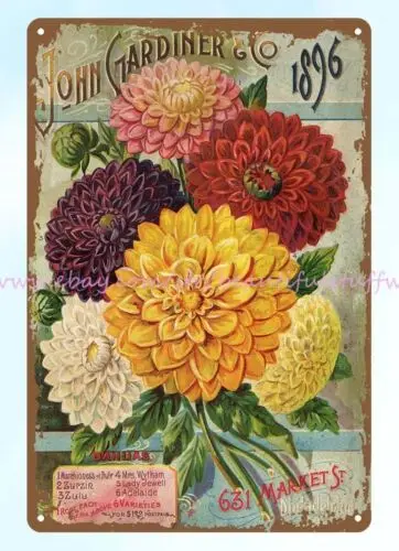 1896 Dahlias John Gardiner Co seed annual Philadelphia, PA metal tin sign