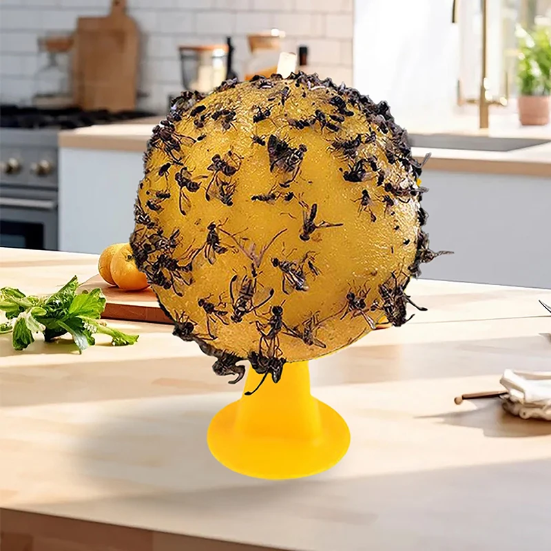 Fruit Fly Traps Flying Insects Traps Ball Sticky Traps Effective Fly Catcher Killer Fruit Fly Killer Catching Fruit Insects