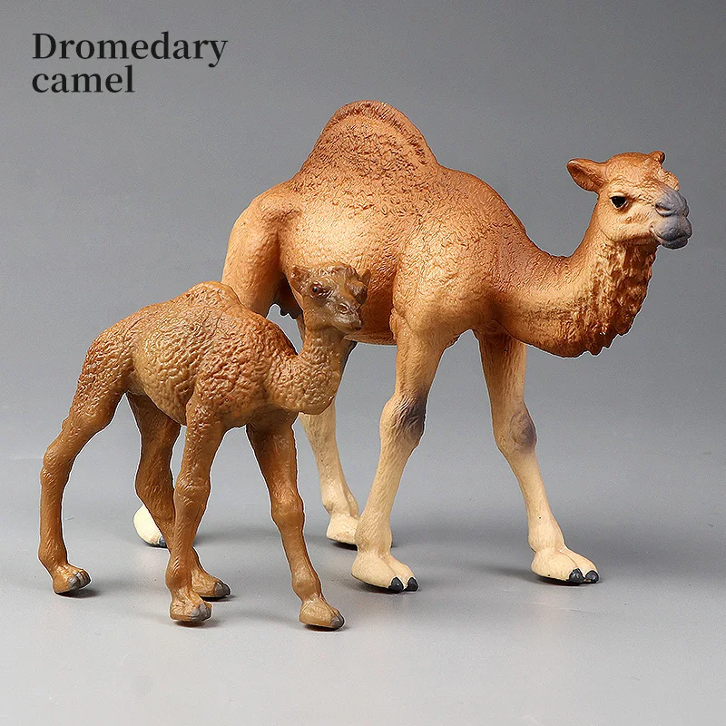 새로운 야생동물 세계 고체 시뮬레이션 낙타 동물 모델 세트 교육용 액션 피규어 장난감 어린이용