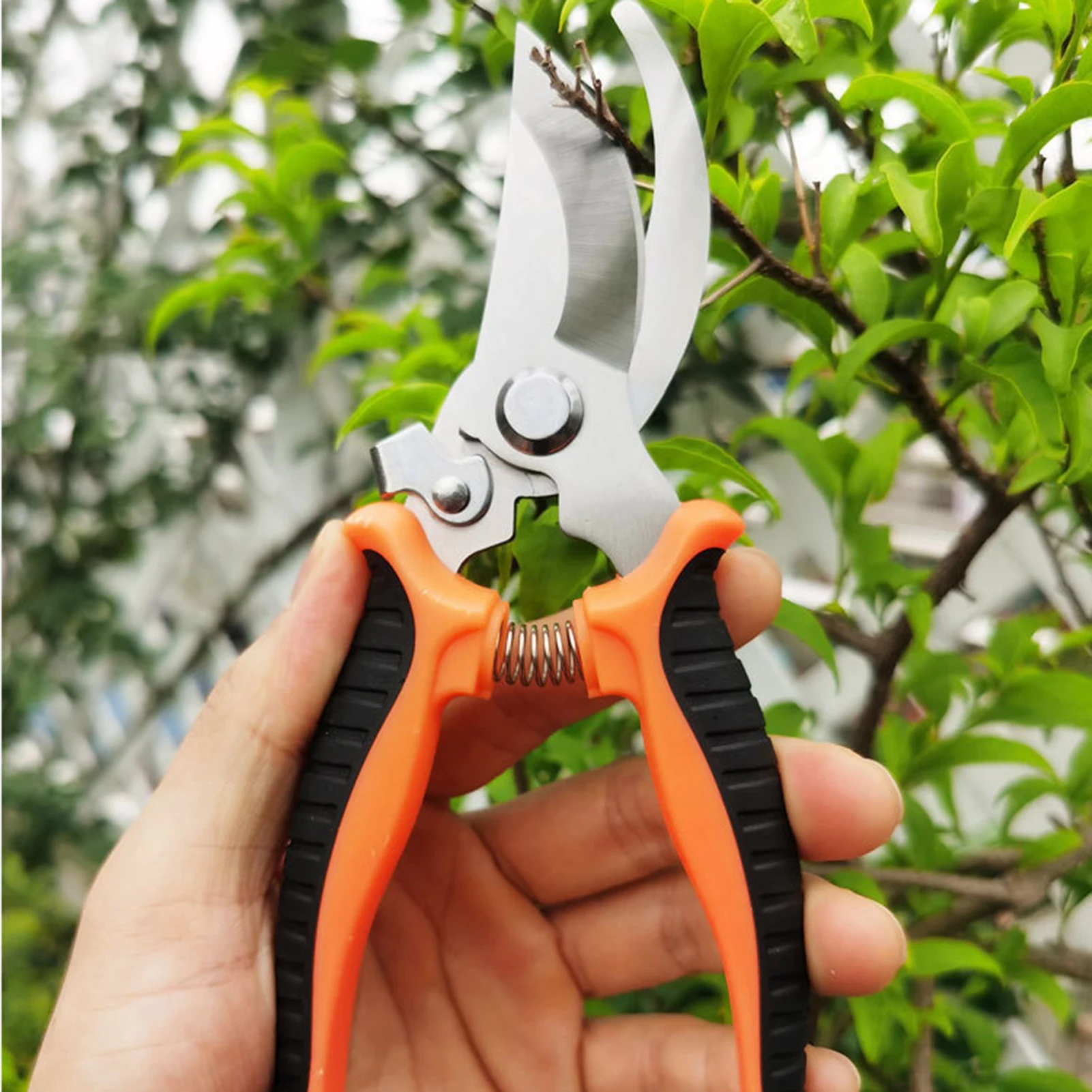 Imagem -03 - Professional Garden Pruner Scissors Sharp Bypass Poda Shears Tree Trimmers Secateurs Hand Clippers para Garden Beak Scissors