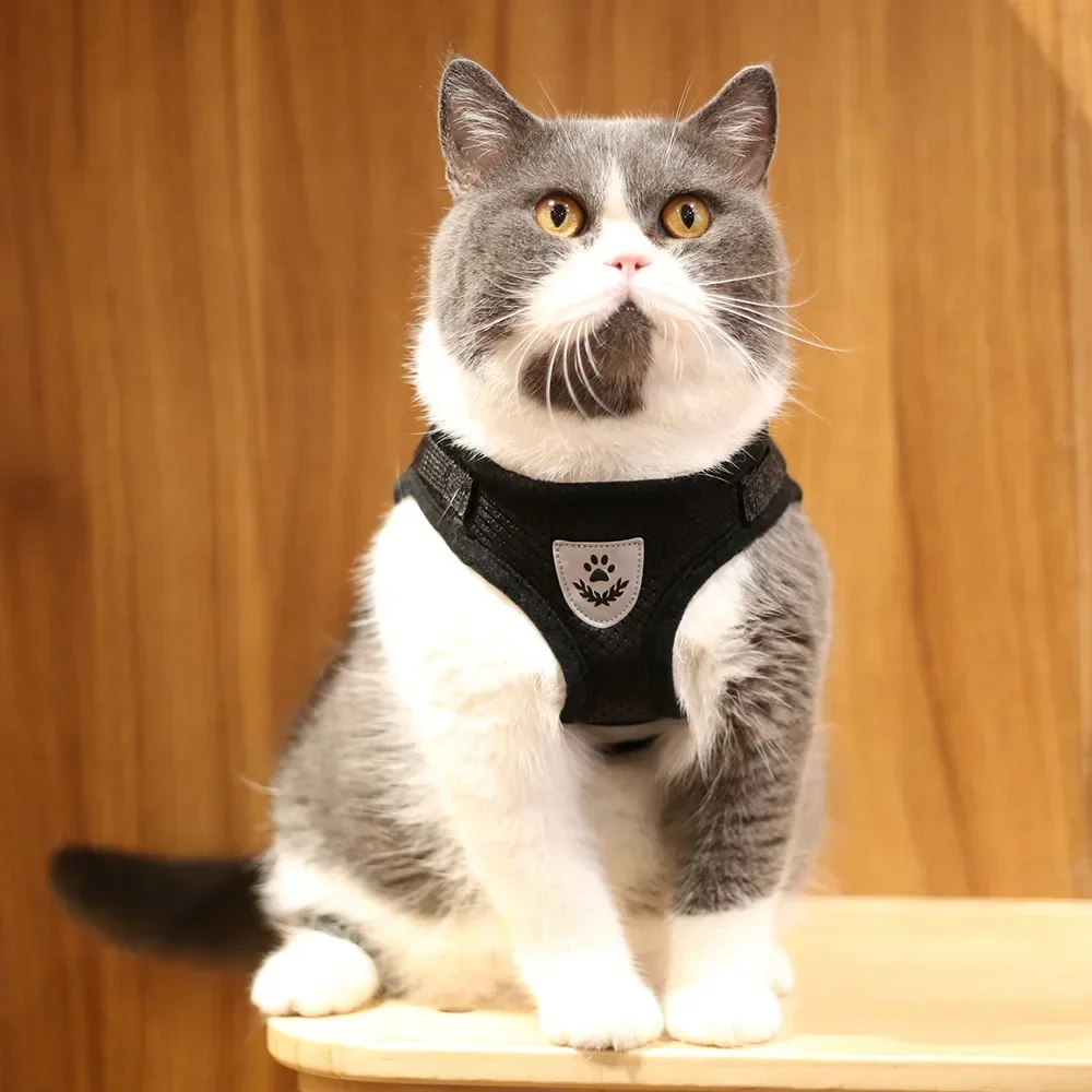 Ausbruchsicheres Katzengeschirr, Verstellbare Reflektierende Weste, Atmungsaktives Netz-Haustier-Führgeschirr-Set für Kleine Welpen und Kätzchen zum Gehen und Training – Detail 21
