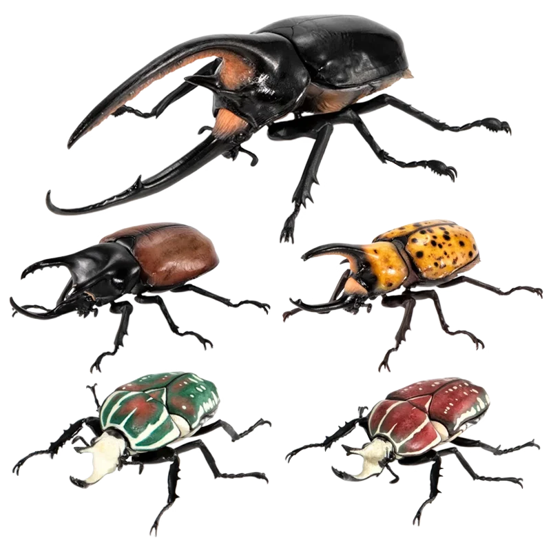 الموسوعة البيولوجية Gashapon الأصلية من بانداي-Hercules Beetle نموذج محاكاة الحشرات ، ألعاب قابلة للجمع/ديكور هدايا للأطفال
